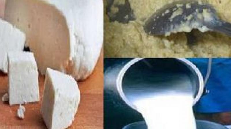 Fake Paneer Fake Paneer