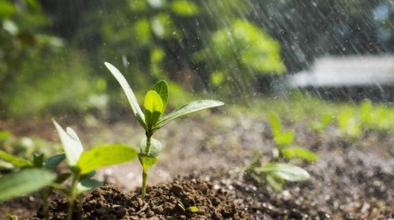 High quality soil High quality soil