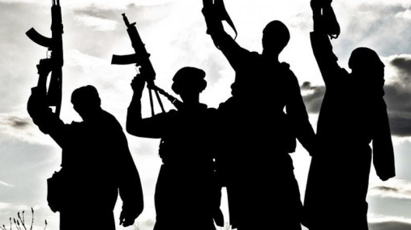 Terrorist Terrorist