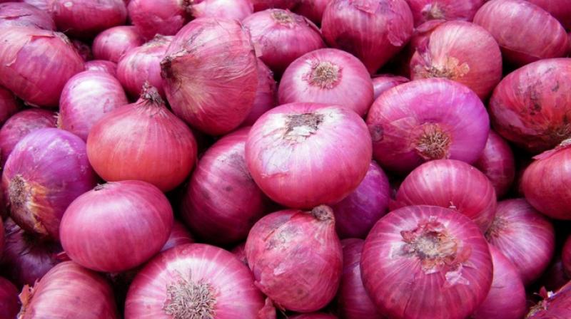 Onion Onion