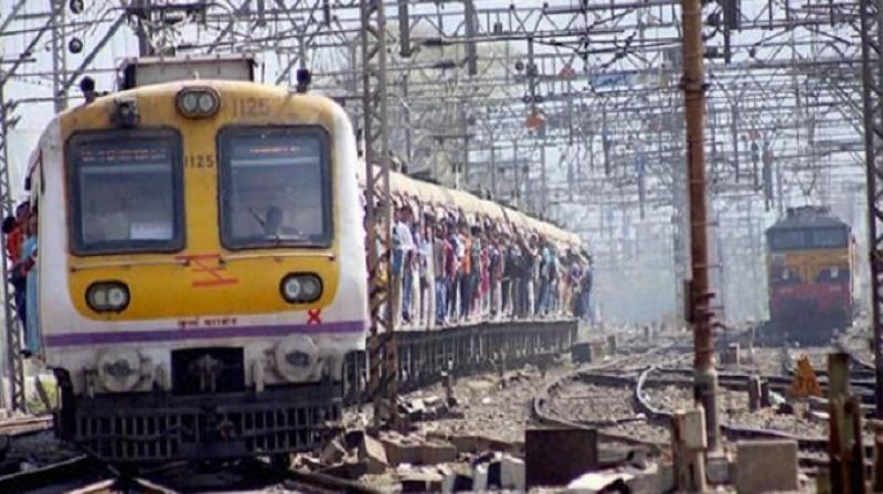Trains Trains