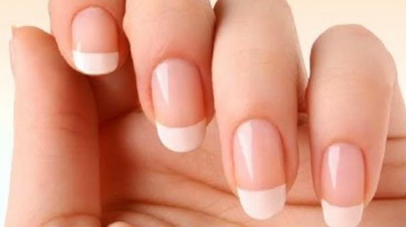 Nails Nails