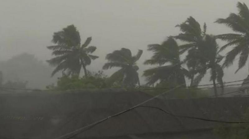 Titli Cyclone Titli Cyclone