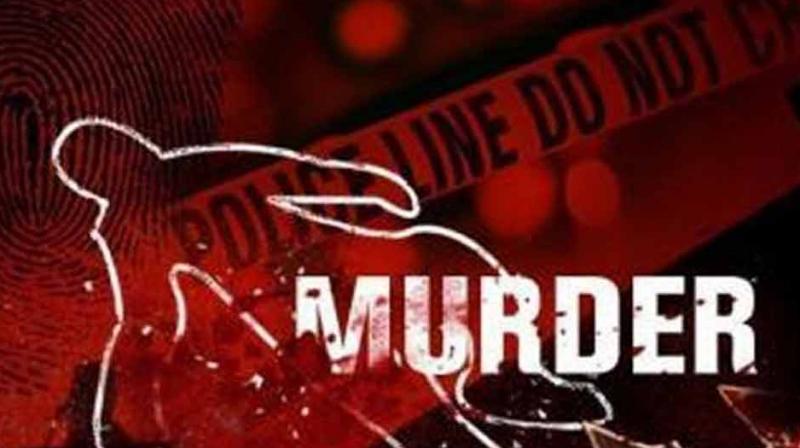 murder murder