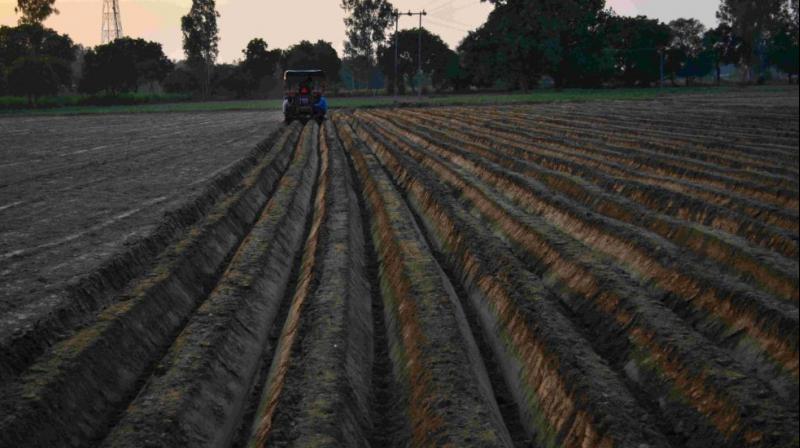 Farming Farming