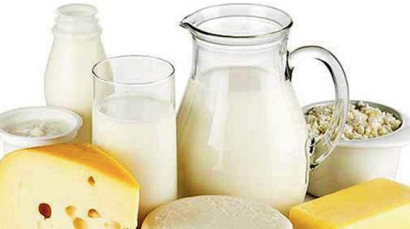 Milk Prodcut Milk Prodcut