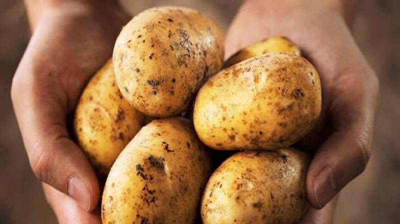 Potatoes Potatoes