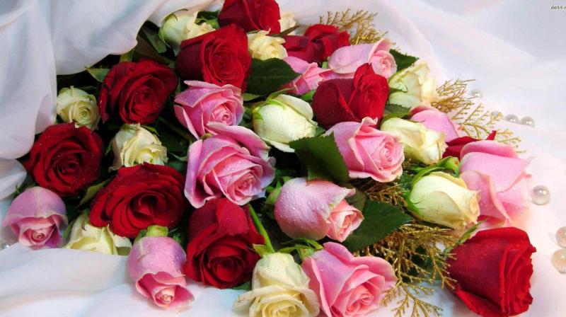 Flowers Flowers