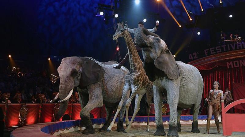 Circus Circus