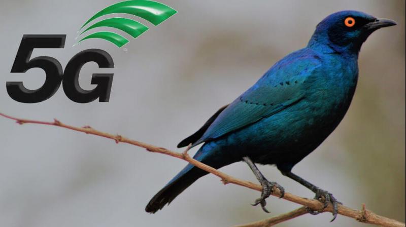 5G 5G