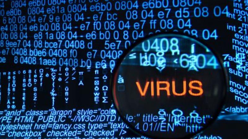Virus Virus
