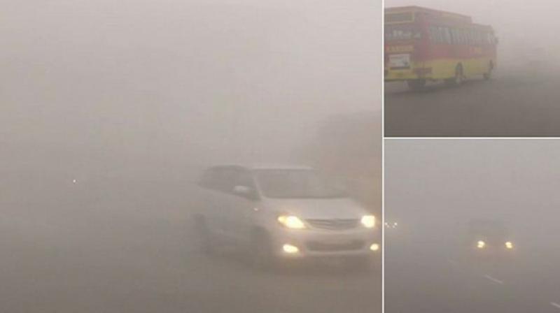 Fog Fog