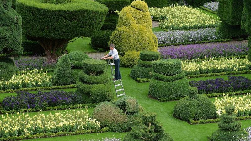 Garden Garden