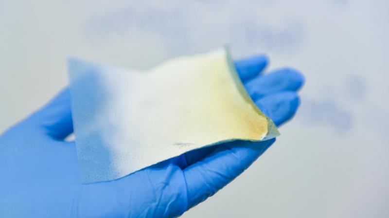 Antibacterial Bandage Antibacterial Bandage