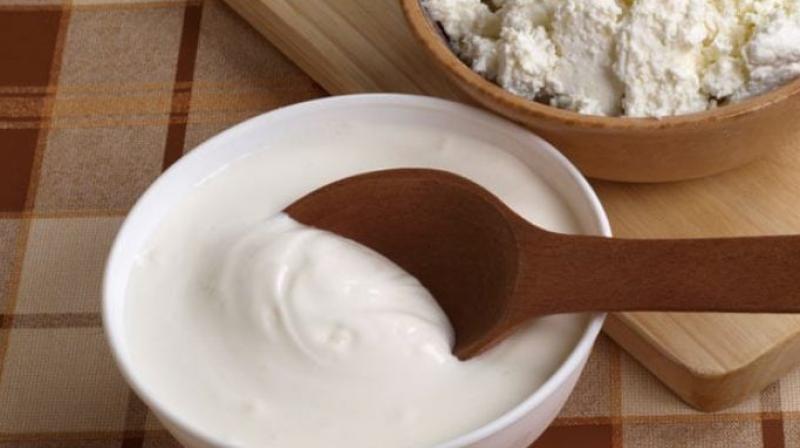 Curd Curd