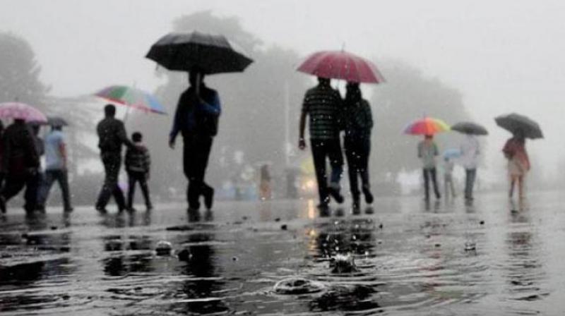 Rain Rain
