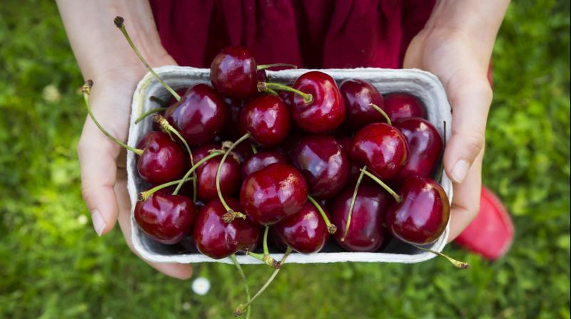 Cherries Cherries