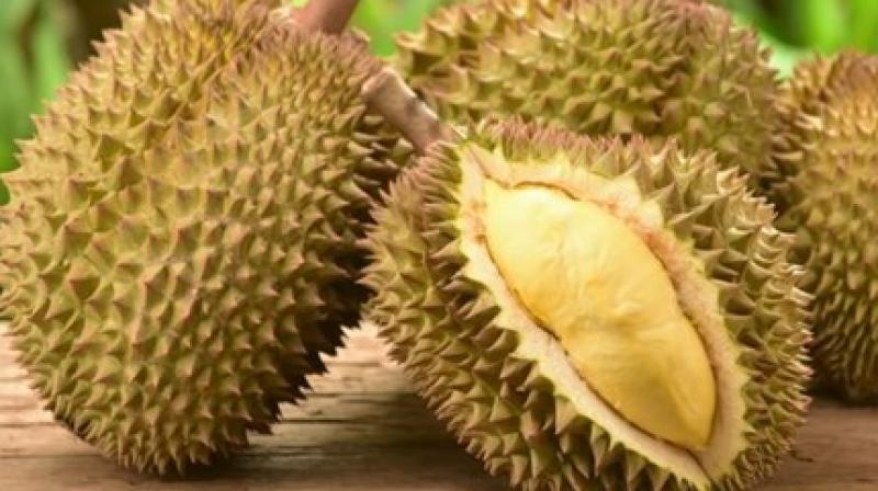 Durian Fruit