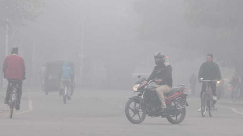 Fog Fog