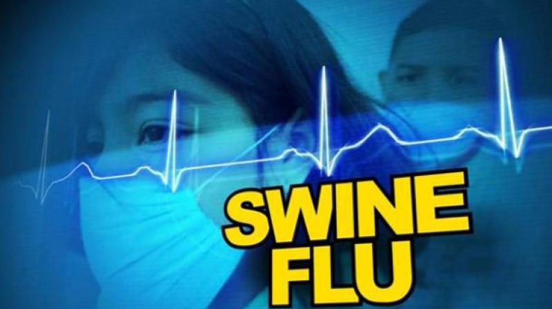 Swine Flu Swine Flu