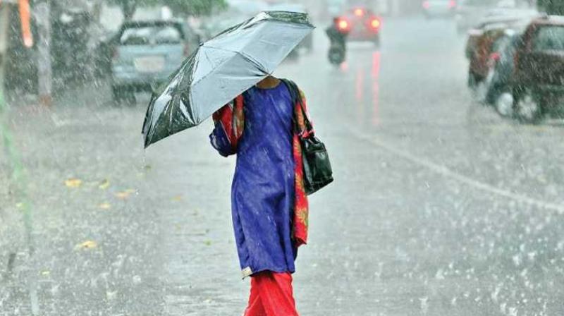 Rain Rain