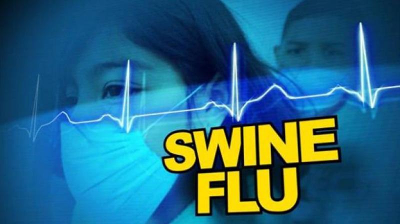 Swine Flu Swine Flu