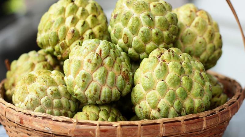 Sugar - Apple