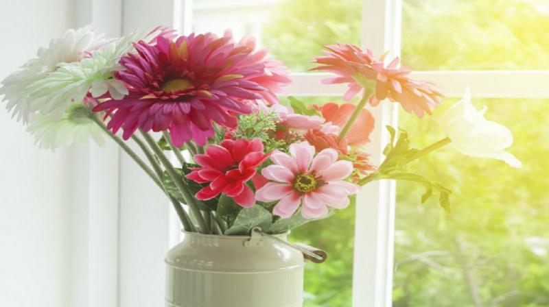 Keep flowers fresh for long