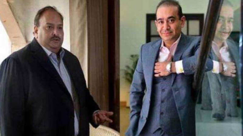 Nirav Modi and mehul Nirav Modi and mehul