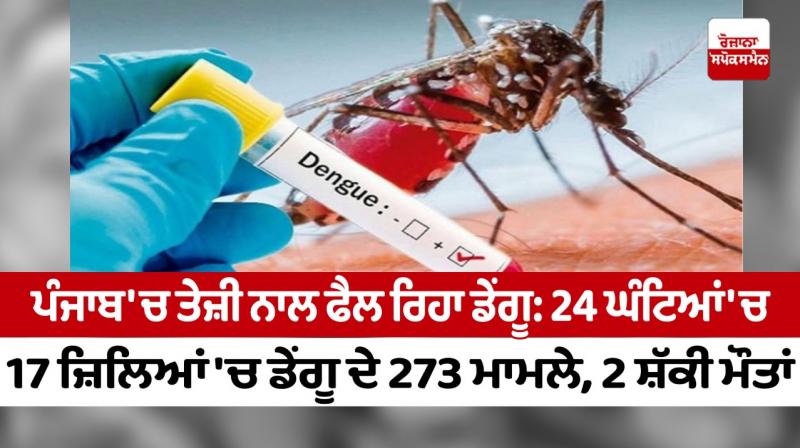 Dengue spreading rapidly in Punjab Dengue spreading rapidly in Punjab