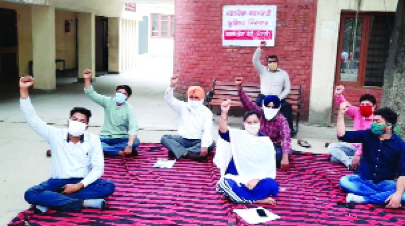 ਡੇਰਾਬੱਸੀ ਬੀ.ਡੀ.ਪੀ.ਓ. ਦਫ਼ਤਰ 'ਚ ਰੋਸ ਪ੍ਰਦਰਸ਼ਨ ਕਰਦੇ ਹੋਏ ਨਰੇਗਾ ਮੁਲਾਜ਼ਮ। ਡੇਰਾਬੱਸੀ ਬੀ.ਡੀ.ਪੀ.ਓ. ਦਫ਼ਤਰ 'ਚ ਰੋਸ ਪ੍ਰਦਰਸ਼ਨ ਕਰਦੇ ਹੋਏ ਨਰੇਗਾ ਮੁਲਾਜ਼ਮ।