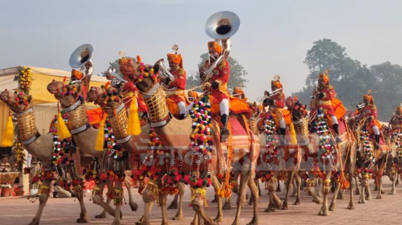 camel contingent band ! camel contingent band !
