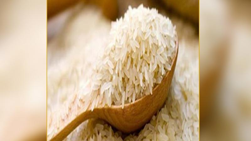 Kamal Rice Kamal Rice