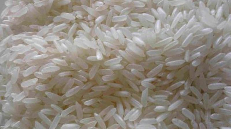 Non Basmati Rice