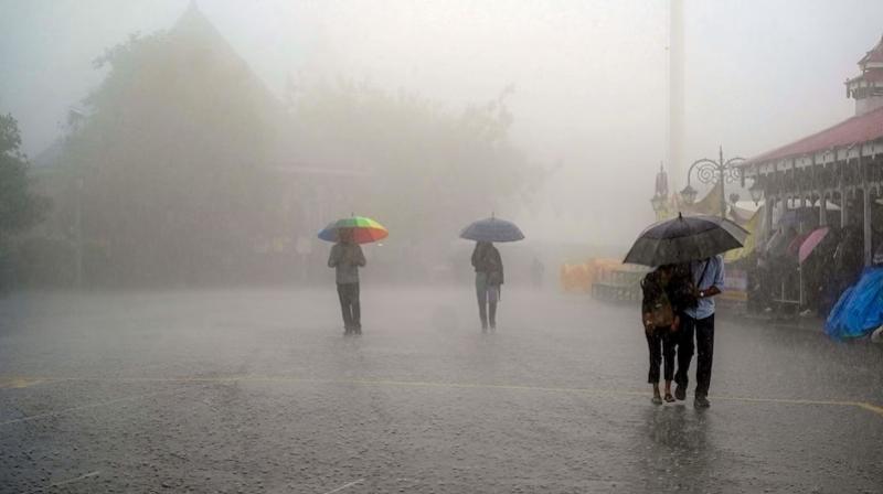 Weather News: India likely to receive more than normal rainfall this year: IMD