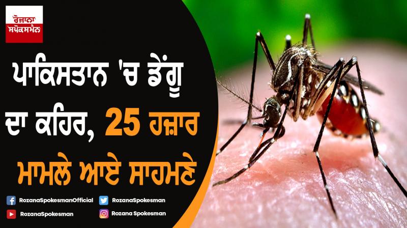 Over 25,000 dengue cases reported this year Over 25,000 dengue cases reported this year