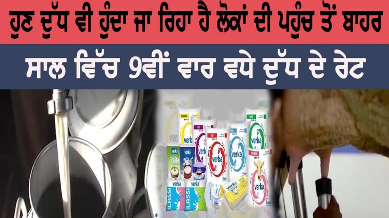 Milk procurement price raised by Rs 10/kg fat