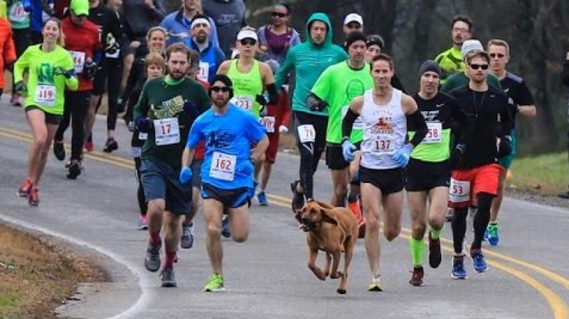 Half Marathon Half Marathon