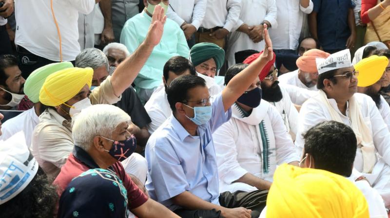 Kejriwal joins Punjab AAP's protest at Jantar Mantar 