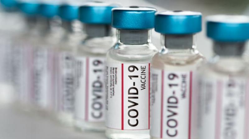Vaccine Vaccine