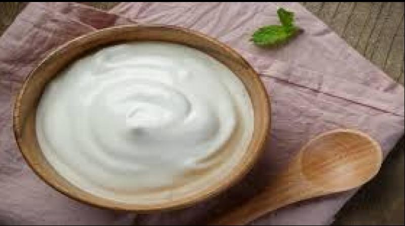 Side effects of curd Side effects of curd