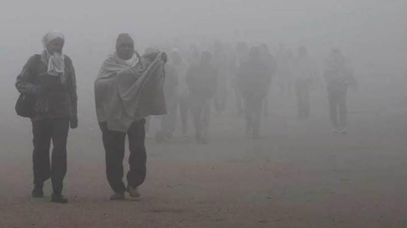 Cold In Punjab Cold In Punjab