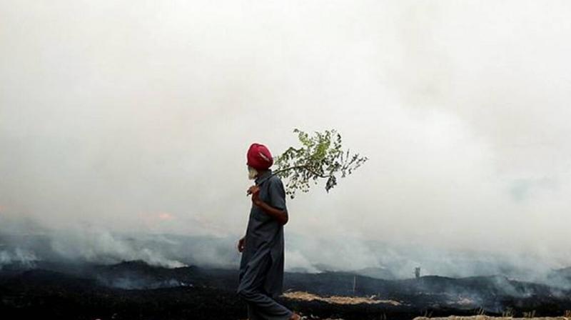 The level of pollution is increasing in Punjab The level of pollution is increasing in Punjab