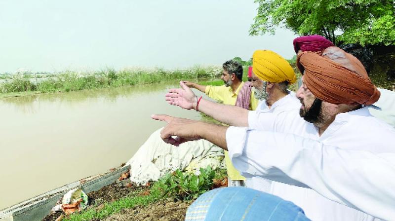 Captain Amrinder Singh reviewing the loss of crops Captain Amrinder Singh reviewing the loss of crops