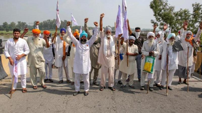 Farmers Protest Farmers Protest