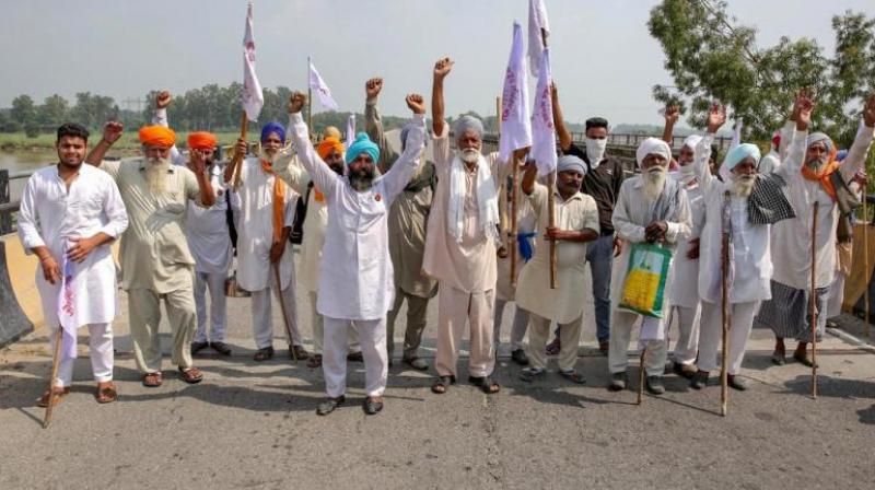 Farmers Protest