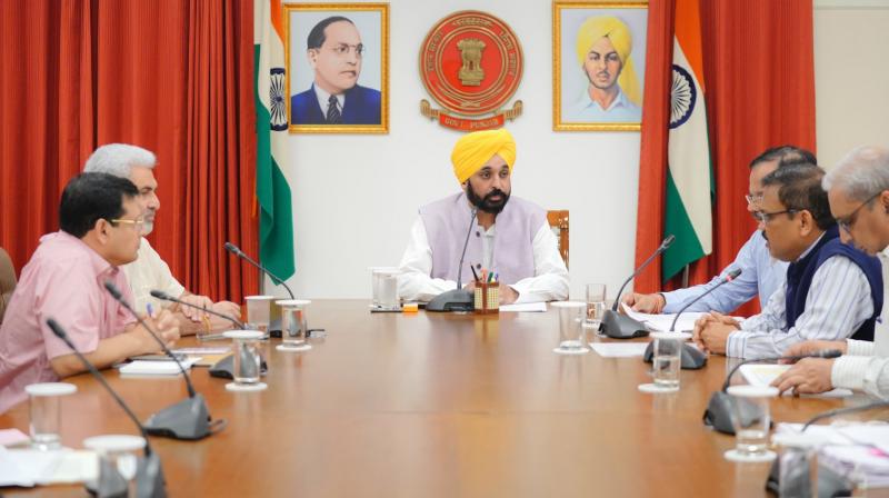 Chief Minister Bhagwant Mann orders to pay paddy from markets on war footing Chief Minister Bhagwant Mann orders to pay paddy from markets on war footing