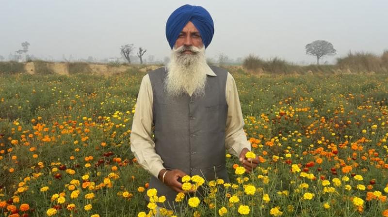 Bharbhoor singh Bharbhoor singh