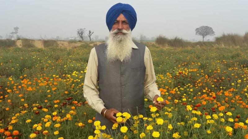 Bharbhoor singh