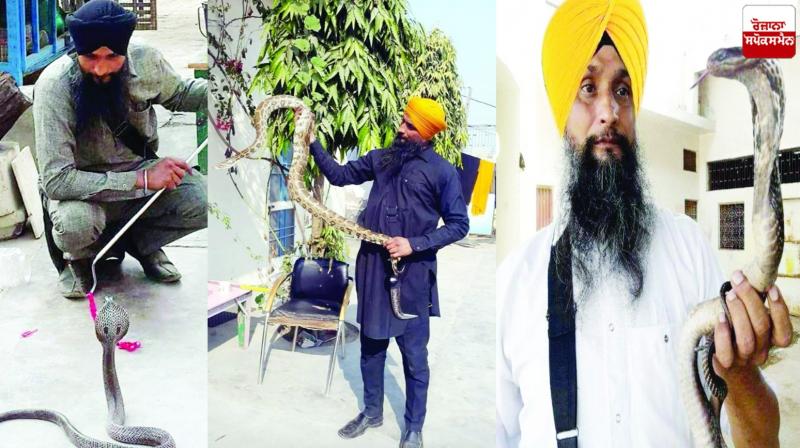 Joga Singh Kahlon Snake News in punjabi Joga Singh Kahlon Snake News in punjabi